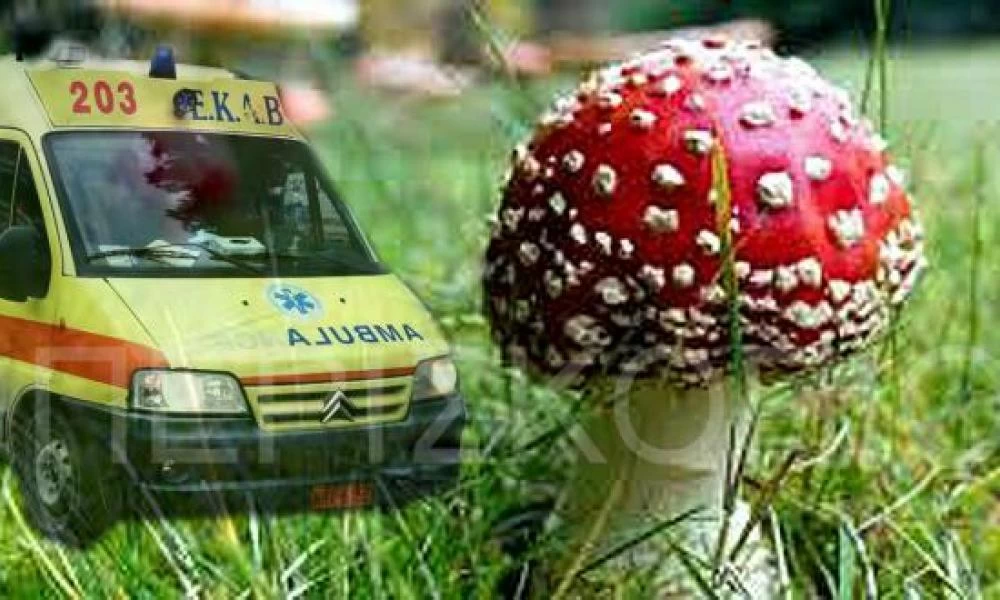 Επείγουσα ανάγκη για μεταμόσχευση ήπατος στον 16χρονο που δηλητηριάστηκε από μανιτάρια